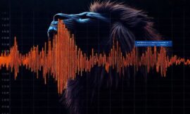 AI Discovers Hidden Lion Roar: 3,000 Recordings Analyzed with 95% Accuracy Reveals New Vocalization