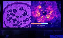 AI Cracks a Century-Old Cancer Mystery: Microscopy-Powered Model Spots Early-Stage Mutations in Record Time
