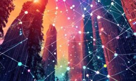 Sequoia Capital’s Investment Strategy in AI Giants: Breaking VC Norms by Backing Competing AI Companies