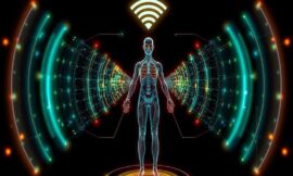 WiFi-DensePose: Tracking Body Movement Through Walls